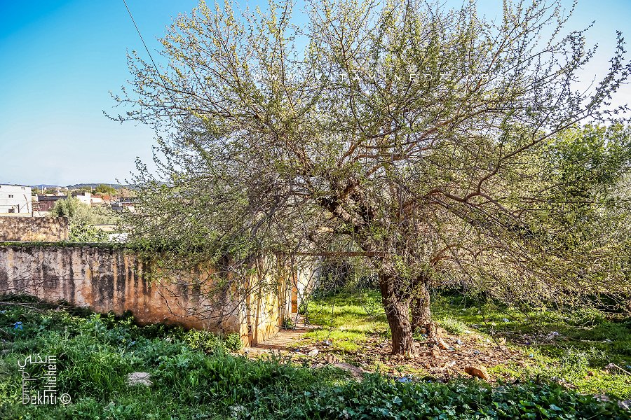 Sidi Yahia, le wali  l'ancien village historique de Ouzidan (Tlemcen)