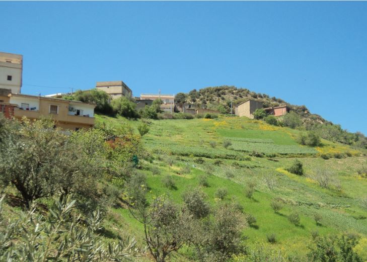 Bouzelatène au printemps 2018