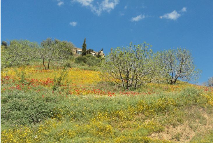 Bouzelatène au printemps 2018