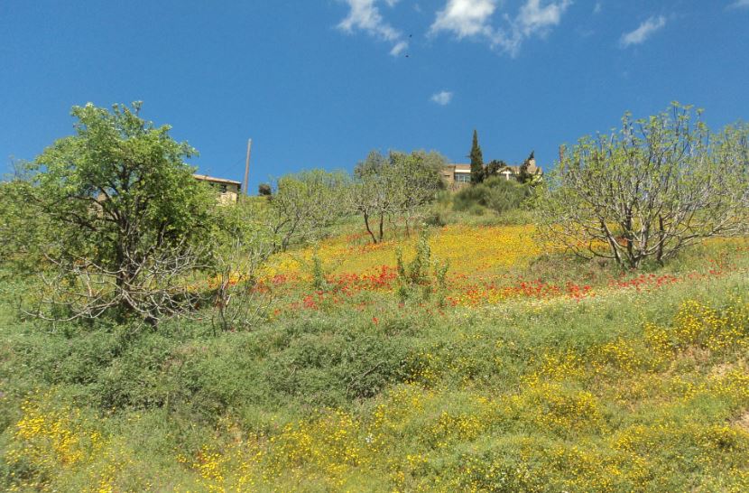 Bouzelatène au printemps 2018