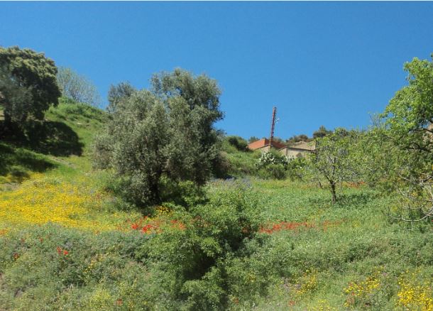Bouzelatène au printemps 2018