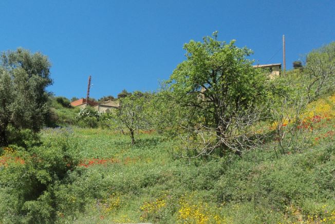 Bouzelatène au printemps 2018