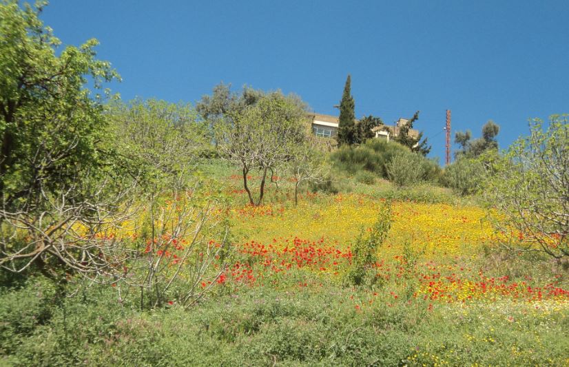 Bouzelatène au printemps 2018