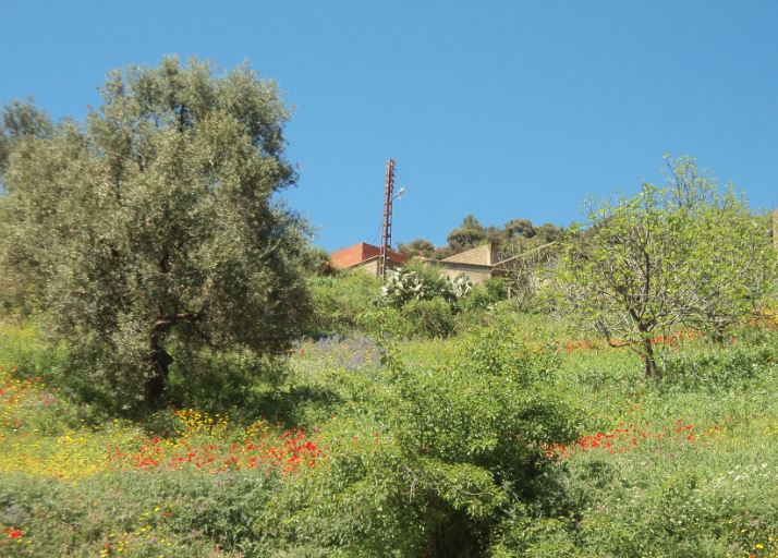 Bouzelatène au printemps 2018