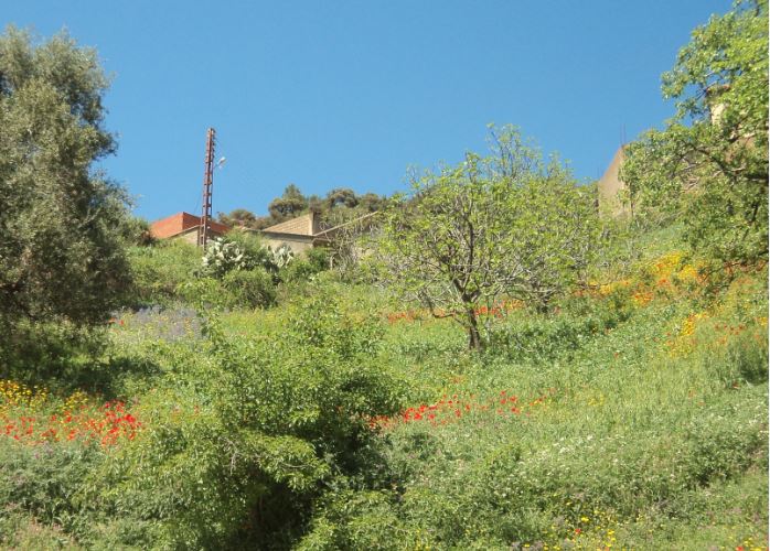 Bouzelatène au printemps 2018