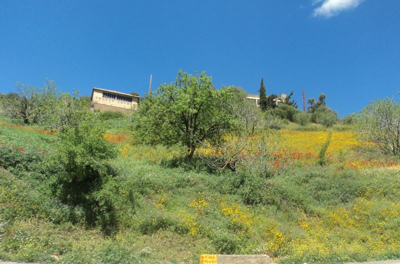 Bouzelatène au printemps 2018