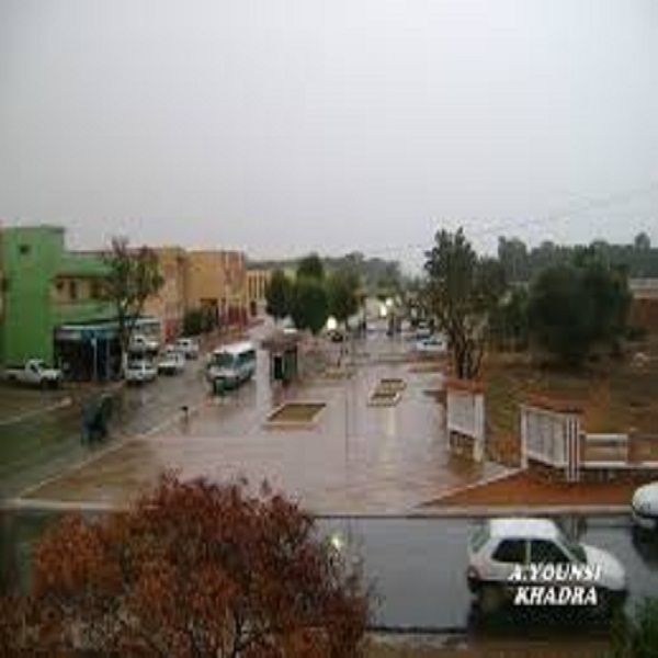 خضرة ورئيسها الجديد