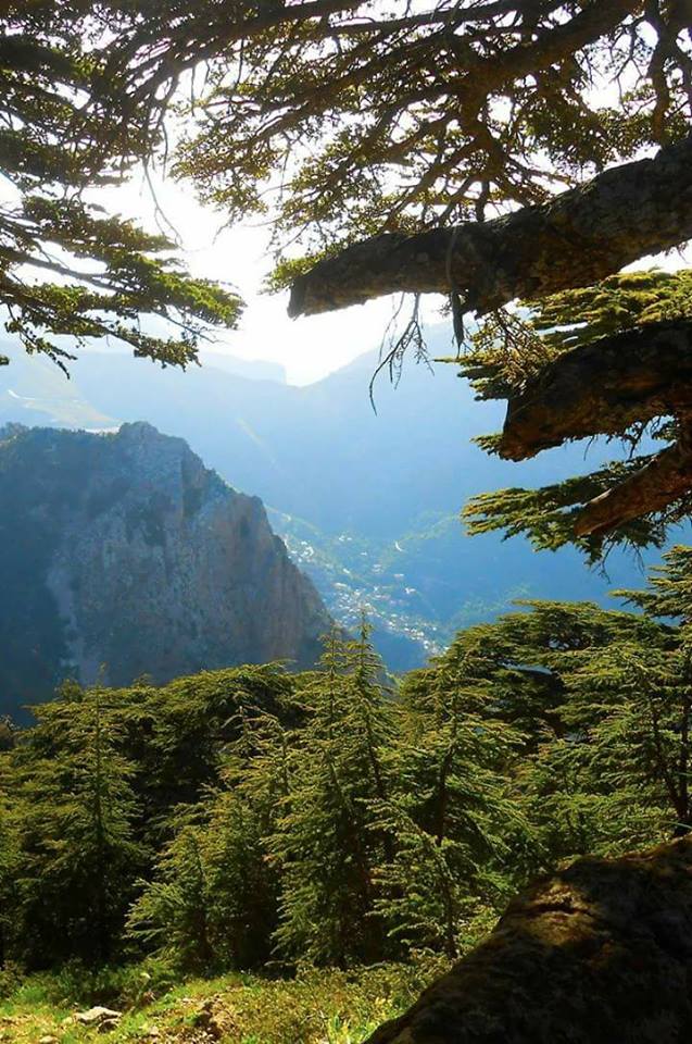 BEJAIA