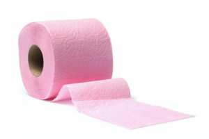 LA DURÉE DE VIE DES DÉCHETS DANS LA NATURE:Papier toilette : 2 semaines à 1 mois