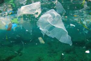 LA DURÉE DE VIE DES DÉCHETS DANS LA NATURE: Sac plastique : jusqu’à 450 ans