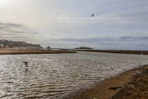 Embouchure de Oued La Tafna à Rachgoun