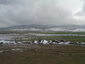 Kraza cne de Yabous.