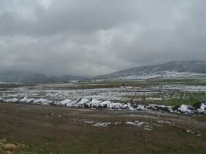 Kraza cne de Yabous.