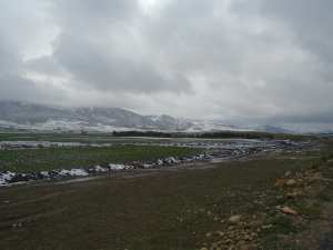 Kraza cne de Yabous.