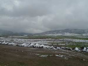 Kraza cne de Yabous.