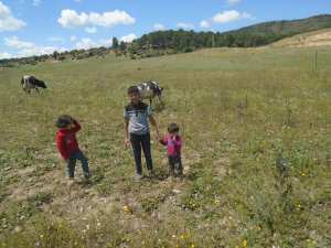 Les champs à Ain Mimoun en plein printemps