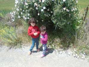 LE VERT DES CHAMPS ET DES ARBRES EN FLEURS, PRINTEMPS, FLEURS, BEAUTÉ 0 Ain - Mimoun