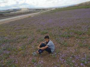 Yabous  est bien connu pour la beauté de ses fleurs. Au printemps.