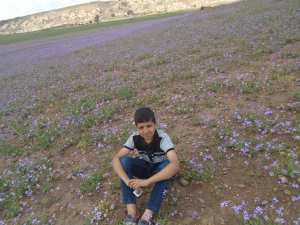 Le printemps est là et rapporte avec lui les plus belles fleurs