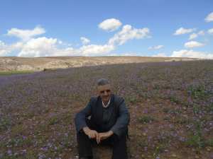 Le printemps est là et rapporte avec lui les plus belles fleurs