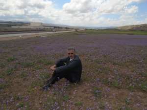 Le printemps est là (à Yabous ) et rapporte avec lui les plus belles fleurs