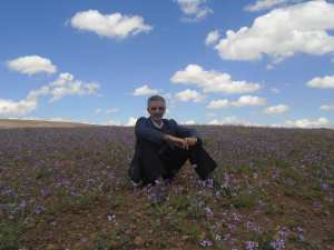 Le printemps est là (à Yabous ) et rapporte avec lui les plus belles fleurs