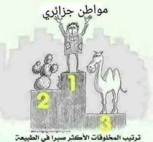 الموان الجزائري أكثر المخلوقات في الطبيعة