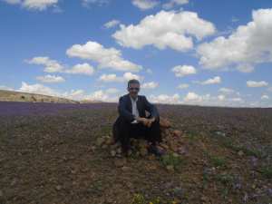 Les fleurs pour accueillir le printemps