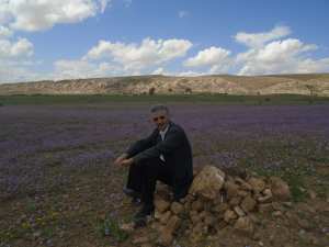 Les fleurs pour accueillir le printemps
