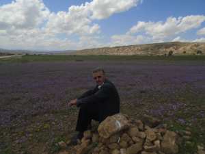 Les fleurs pour accueillir le printemps