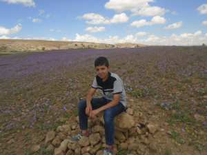 Les fleurs pour accueillir le printemps