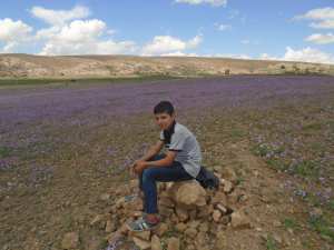 Les fleurs pour accueillir le printemps