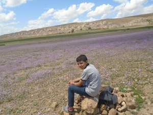 Yabous  est bien connu pour la beauté de ses fleurs. Au printemps.