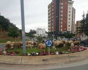 L'Algérie vue du ciel ! A said Hamdine