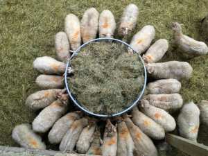 Le paradis sur Terre À Theux, à 30 minutes de Liège en Belgique