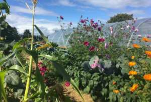 Le paradis sur Terre À Theux, à 30 minutes de Liège en Belgique