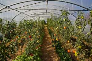 Le paradis sur Terre À Theux, à 30 minutes de Liège en Belgique
