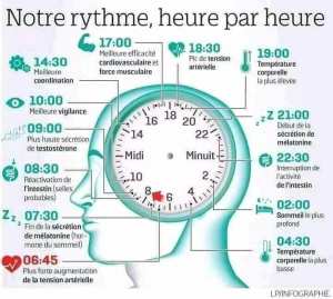 Notre rythme ,heure par heure .