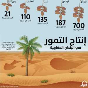 هذا إنتاج التمور في المنطقة المغاربية