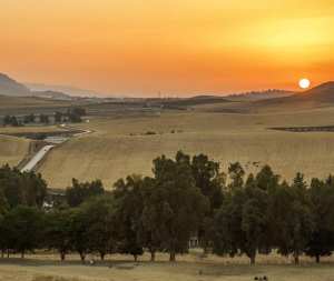 Les Plaines de la Région de Constantine... !