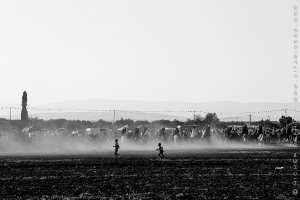 Waada d'El Renaina (Commune d'Amiyar - Tlemcen)