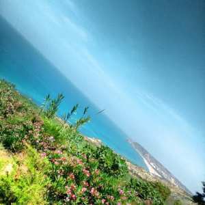 من ولاية مستغانم.