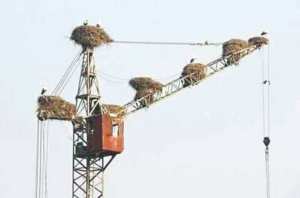 ARRÊT SUR IMAGE:  Vu à Bouira