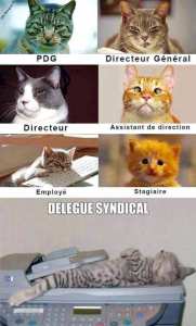 Très mignon et sans doute quelques ressemblances