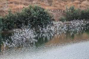 Retenue d'eau dans la région de Aribat