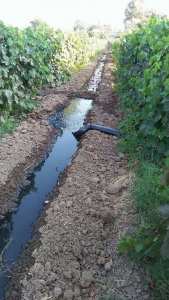 La cause principale du choléra en Algérie