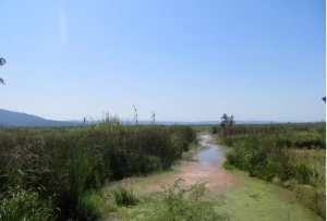 Lac des Oiseaux, Tarf... !