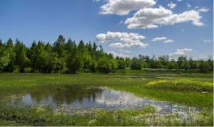 Lac des Oiseaux, Tarf... !