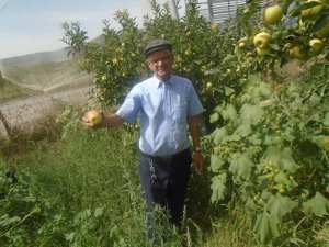 ناصري عبدالمالك عميد النقابيين بولاية خنشلة