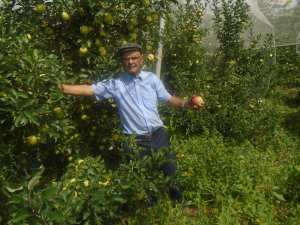 ناصري عبدالمالك عميد الناقبيين بولاية خنشلة